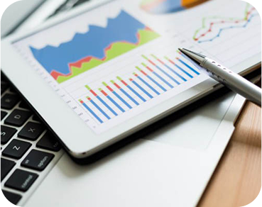 Elevate Your Business with Microsoft Power Platform Consulting